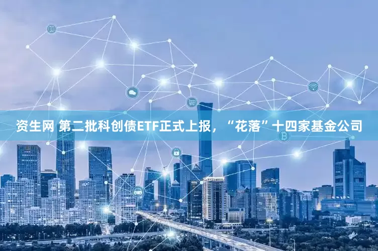 资生网 第二批科创债ETF正式上报，“花落”十四家基金公司